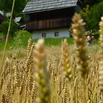 Apartman Domacija Koklej - Vintage Vacation