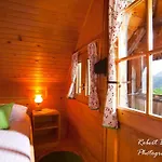 Apartman Domacija Koklej - Vintage Vacation