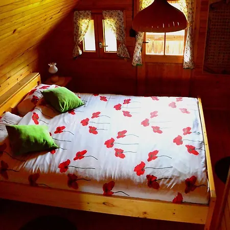 Apartamento Domacija Koklej - Vintage Vacation *