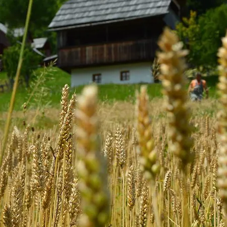 아파트 Domacija Koklej - Vintage Vacation