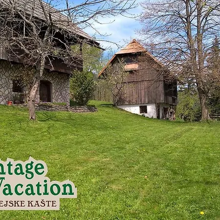 Domacija Koklej - Vintage Vacation 아파트 *