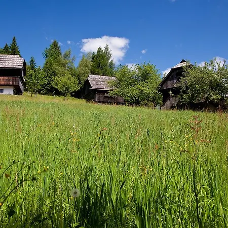 Domacija Koklej - Vintage Vacation