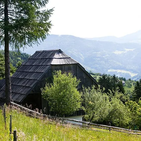 Domacija Koklej - Vintage Vacation 아파트 *