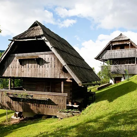 Domacija Koklej - Vintage Vacation Apartamento Luče