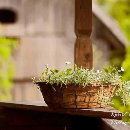 Apartamento Domacija Koklej - Vintage Vacation Luče