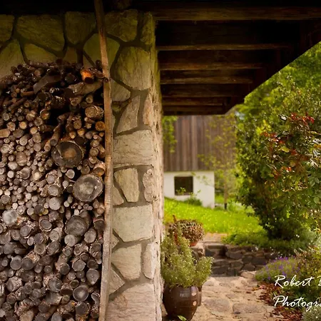 Domacija Koklej - Vintage Vacation Apartamento