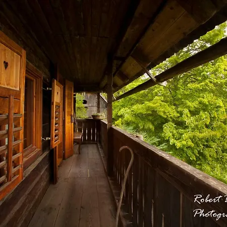 Domacija Koklej - Vintage Vacation