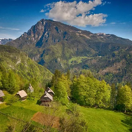 Domacija Koklej - Vintage Vacation Apartamento