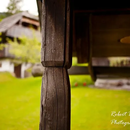 아파트 Domacija Koklej - Vintage Vacation *