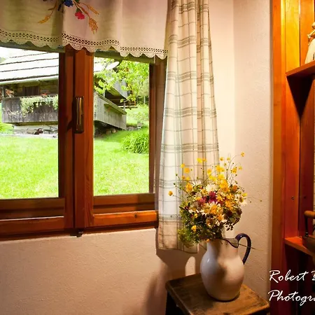 Domacija Koklej - Vintage Vacation Apartment