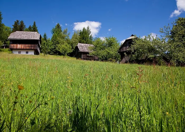 Domacija Koklej - Vintage Vacation