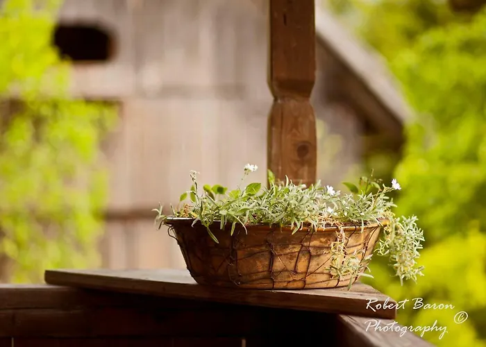 Daire Domacija Koklej - Vintage Vacation Luče