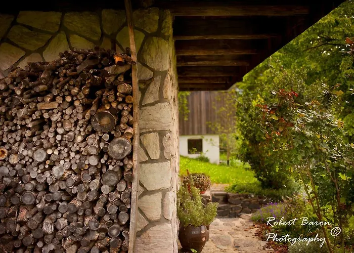 Domacija Koklej - Vintage Vacation Daire